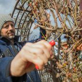 „Alles, was jetzt blüht, ist stark gefährdet“