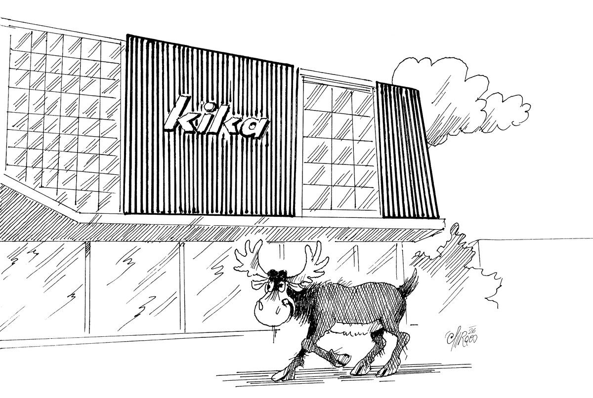 Ikea-Elch Emil in Dornbirn gesichtet!