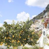 Zitronen über dem Meer