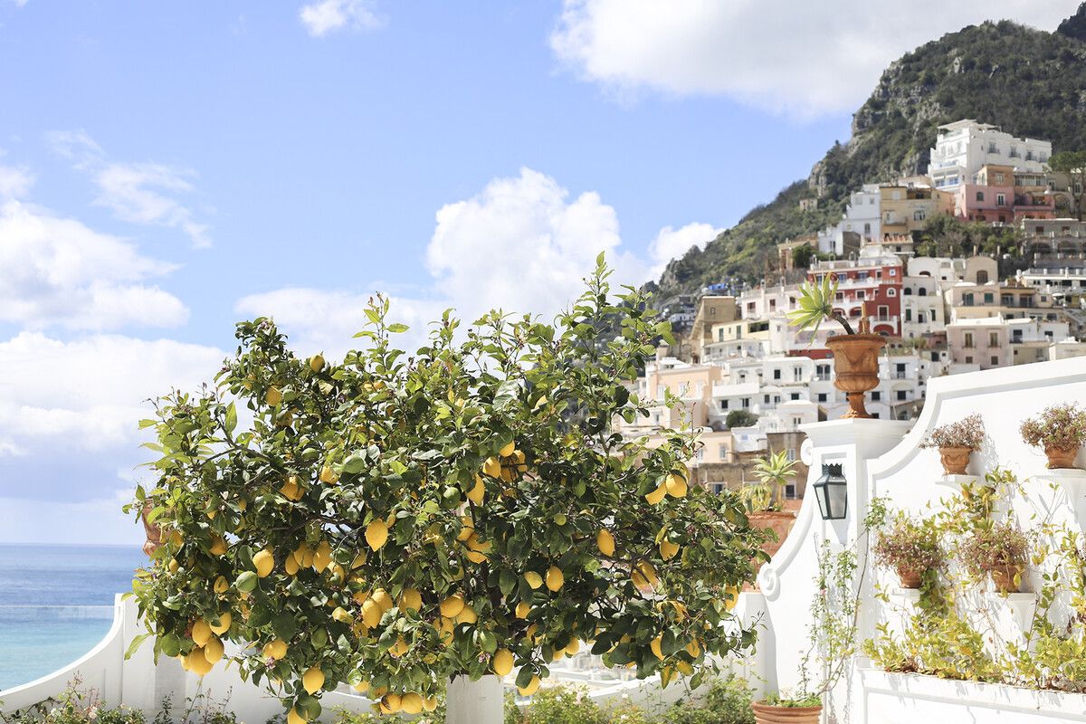 In den Terrassengärten der Amalfiküste wachsen Zitronen.⇒Shutterstock (alle)