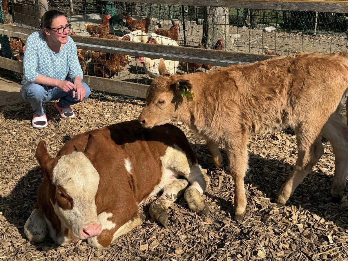 Julia Hasch mit ihren Kälbern, die sie als Geburtshelferin auf die Welt gebracht hat. ⇒
