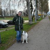 Ruhe kehrt ein an der Wiesenrainbrücke