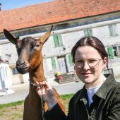Jeder hilft der Familie Raffl mit den Ziegen