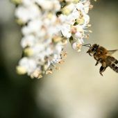 Klima-Check für neue Gesetze