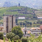 Zwischenstopp auf dem Weingut