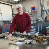 Tiere für die Ewigkeit bewahren