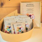 Dornbirner Blumenwiese startet in neue Saison