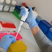 Bundesländer machen um Tierversuche ein Geheimnis