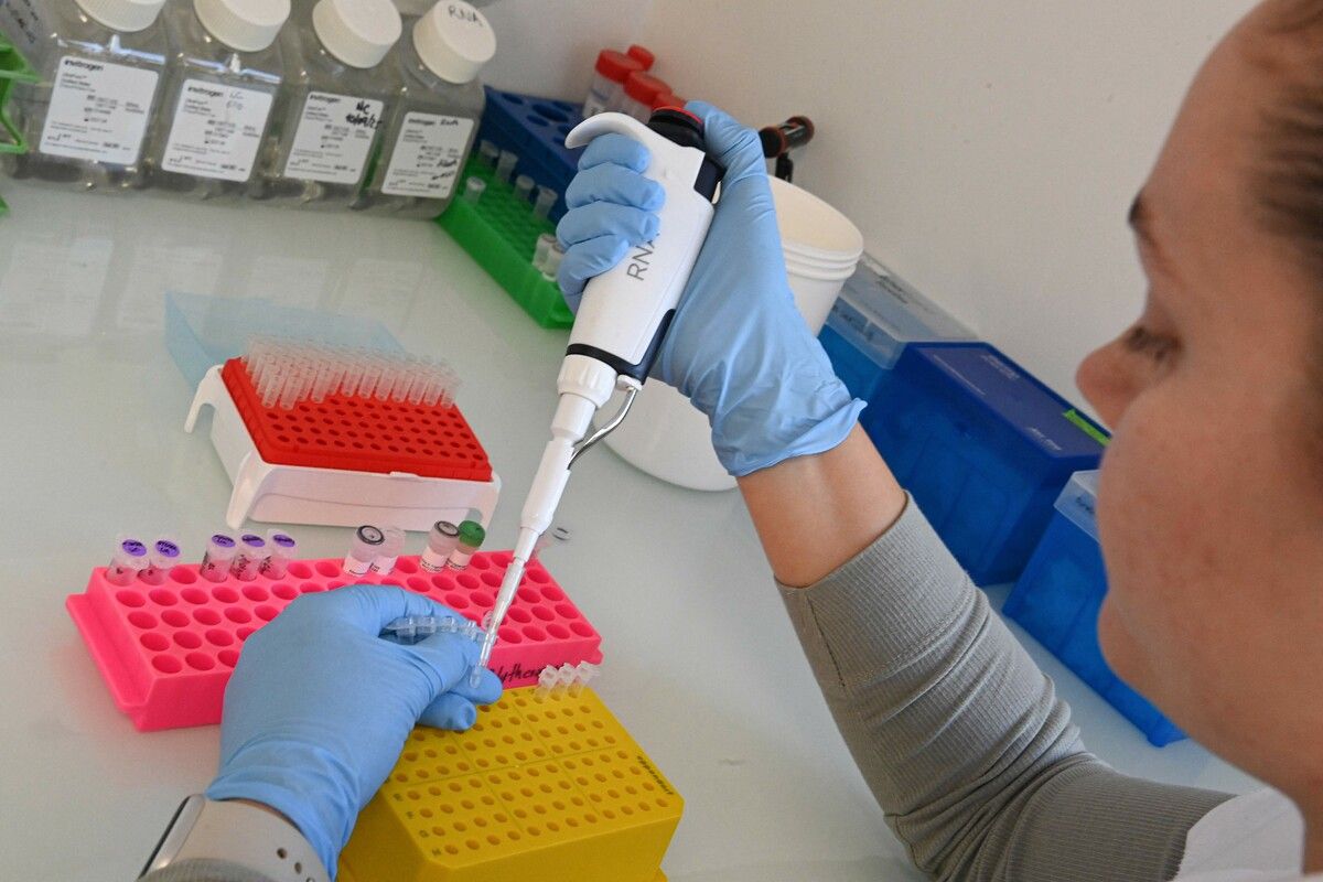 Selbst mit dem Informationsfreiheitsgesetz ist nicht herauszufinden, ob in einem Bezirk Tierversuche stattfinden oder nicht.⇒AFP