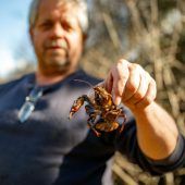 Alarmstufe Rot im Bachbett