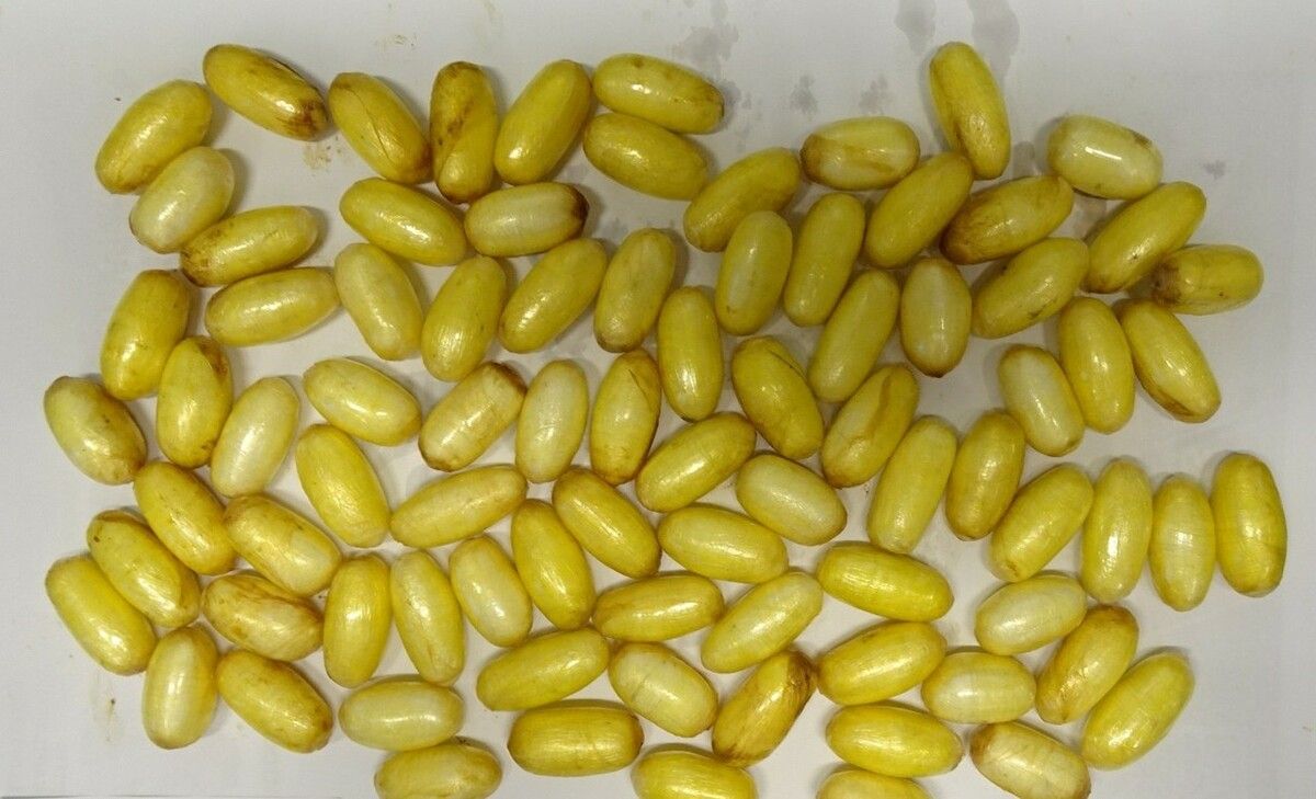 85 Behältnisse mit insgesamt mehr als einem Kilo Kokain wurden sichergestellt. ⇒Apa