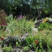 Kräutergartentreff startet in die neue Saison