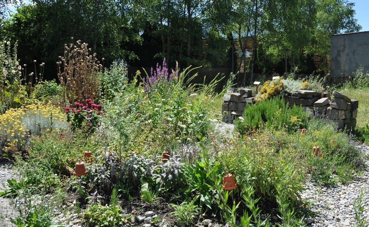 Der Inatura-Kräutergartentreff findet am kommenden Dienstag statt.⇒inatura