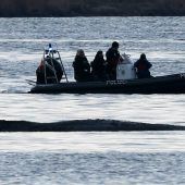 Wal-Rettung nicht geglückt – ­Helfer suchen nach Lösung