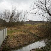 „Eulen sind sehr empfindlich“