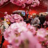 SCHAU! eröffnet mit neuem Konzept