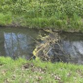 Ölalarm von Altach bis Hard