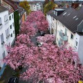 Klimatrend setzt sich weiter fort