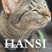 Emotionale Erzählung