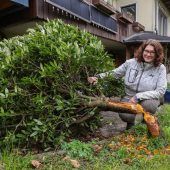 Ein Nager räumt im Garten gründlich auf