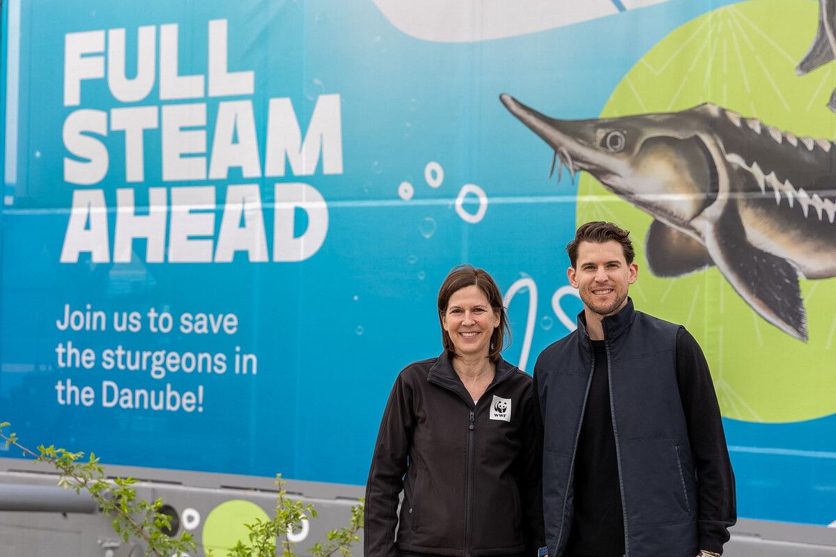 Engagement für Donau-Störe