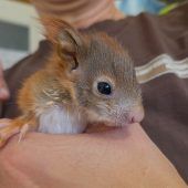 „Benni“ ­gerettet