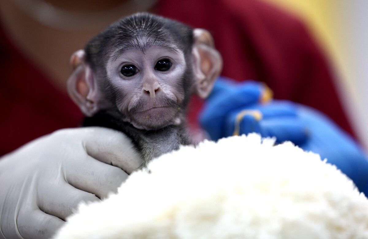 Klein Yuji sucht Nähe