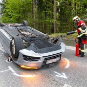 Überschlag wegen Spinne