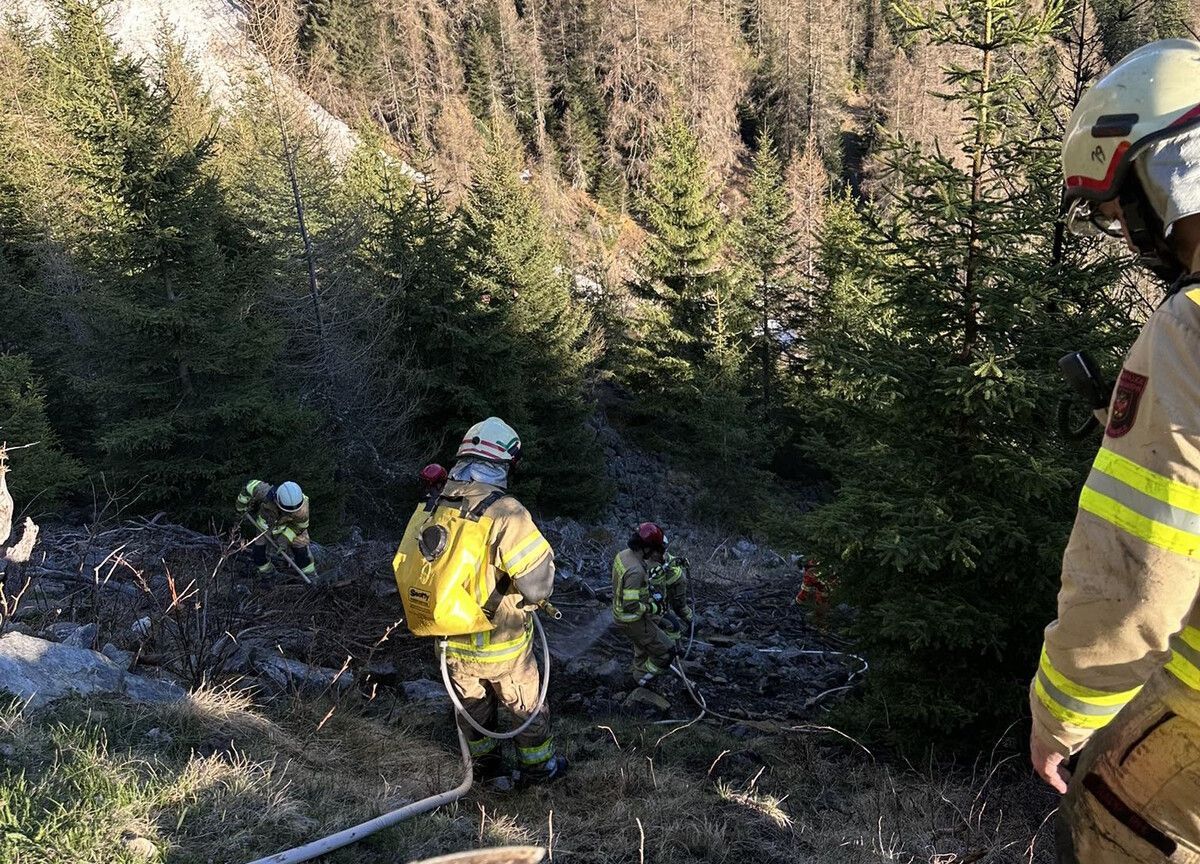 Waldbrand durch zündelnde Kinder
