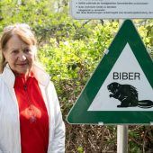 Biberdamm setzt Keller regelmäßig unter Wasser