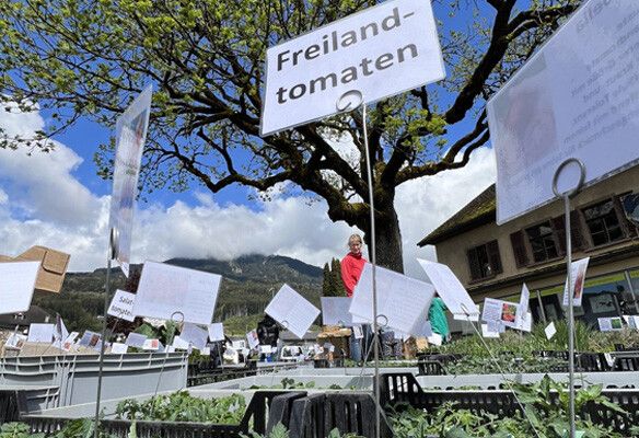 Große Auswahl an Setzlingen und Stauden beim Markt in Satteins lädt zum Start in die Gartensaison ein. ⇒OGV Satteins
