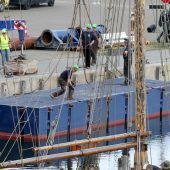 Gestrandeter Wal: Hoffnung wächst