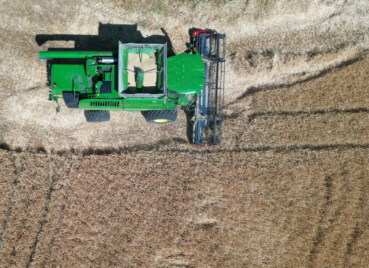 Laut Moosbrugger müsse die EU müsse zu einer Agrarpolitik zurückfinden, die stabile und verlässliche Rahmenbedingungen bietet.⇒APA