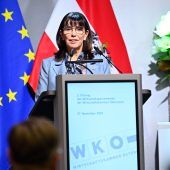 WKÖ-Präsidentin Schultz baut ÖVP-Wirtschaftsbund-Vorstand um