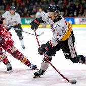 Pioneers-Cracks ergreifen die Flucht