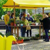 Pflanzentauschbörse in Frastanz
