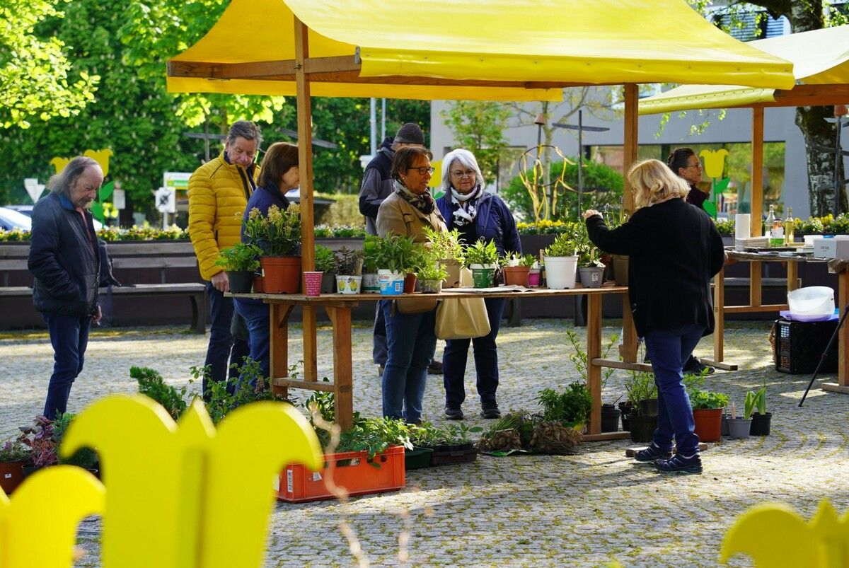 Pflanzentauschbörse in Frastanz lädt zum Tauschen, Fachsimpeln und Genießen im Gemeindepark ein. ⇒
              ⇒
              Obst- und Gartenbauverein Frastanz