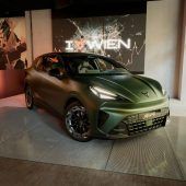 Schnittiger Einsteiger