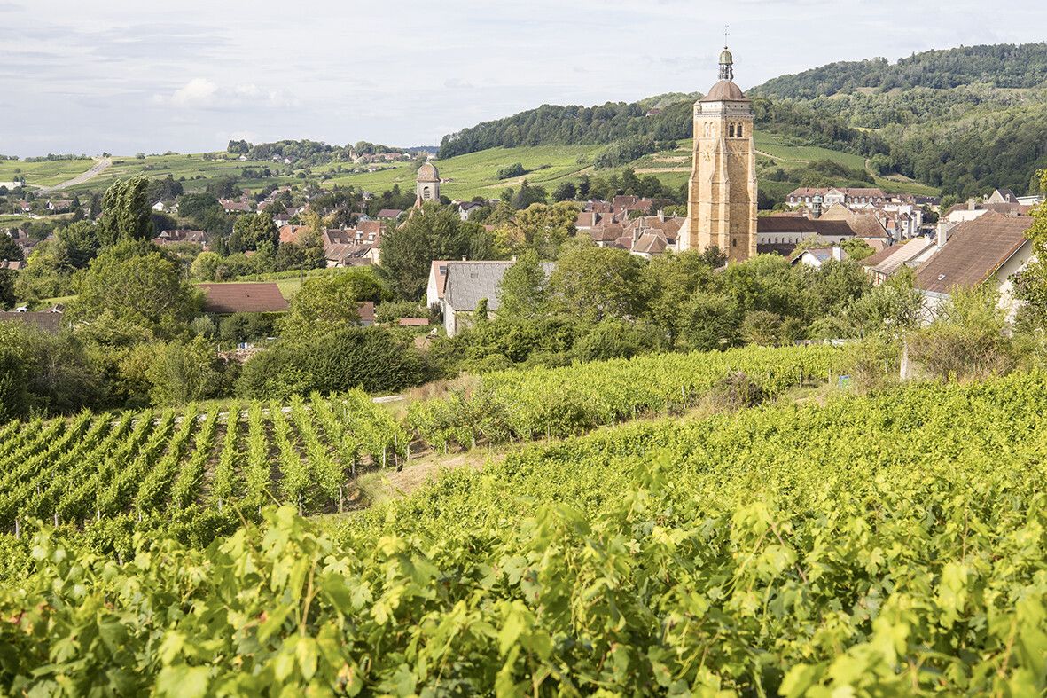 Rund um Arbois prägen Weinberge und kleine Orte die Landschaft des Jura.