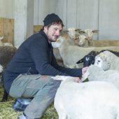 Zwischen Weideglück und Wolfsangst