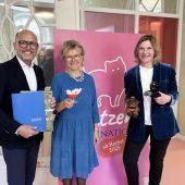 Fokus auf Katzenmedizin