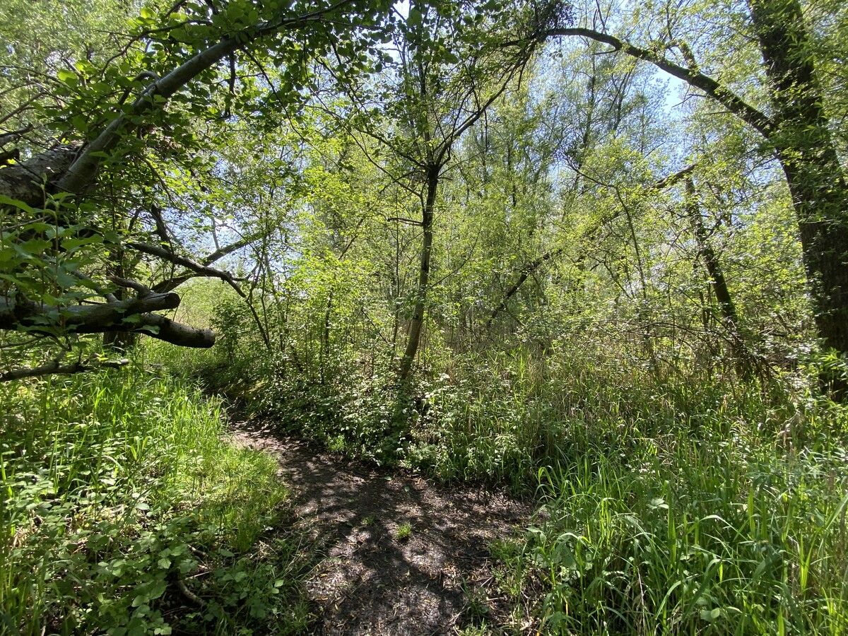 ⇒
              VOL/Mayer