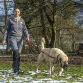 Hundetrainer warnen vor offenen Fragen