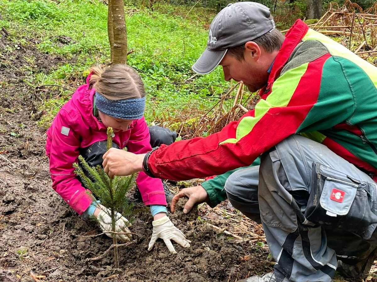 Am Sonntag, dem 31. Mai, steht von 14 bis 17 Uhr ein pädagogischer Waldspaziergang auch für Kinder auf dem Programm.⇒ Schallert