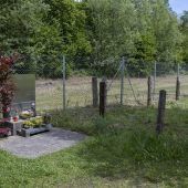 „Stolz, sein Freund sein zu dürfen“