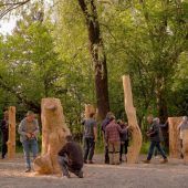 Neue Lebensräume für Wildbienen in Dornbirn