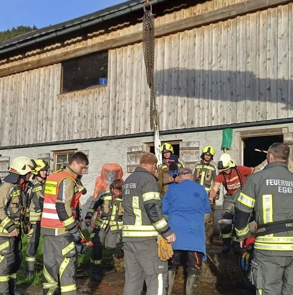 Das Rind konnte mit dem Kran gerettet werden.⇒Ortsfeuerwehr Egg (2)