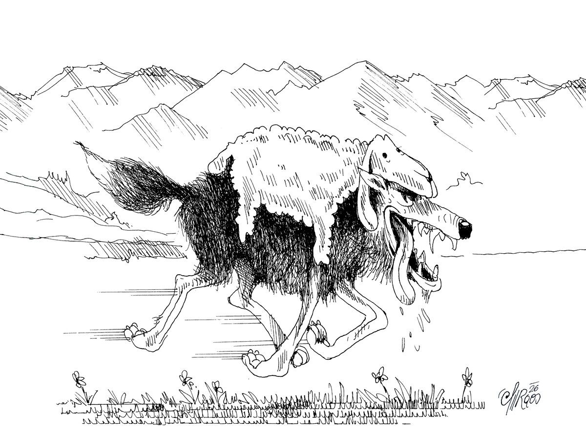 Der gutmütige Wolf!