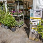 Stadtgärtnerei startet mit SB-Verkauf