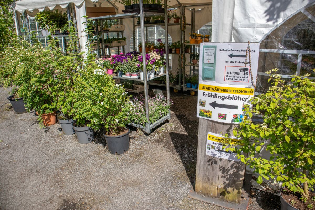 Der Selbstbedienungs-Shop der Stadtgärtnerei Feldkirch ist ab sofort wieder geöffnet. ⇒stadt feldkirch